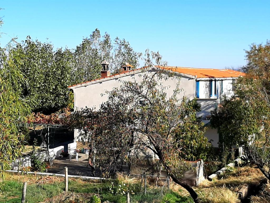 Una casa blanca con un árbol delante. en Vakantieboerderij La Balsa en Alquife