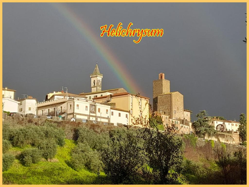a rainbow in the sky over a city at Helichrysum in Vinci