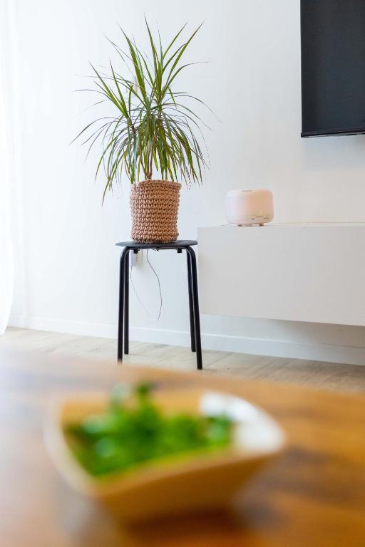 a plant sitting on a table next to a plate of food at Miranda's Place in Split