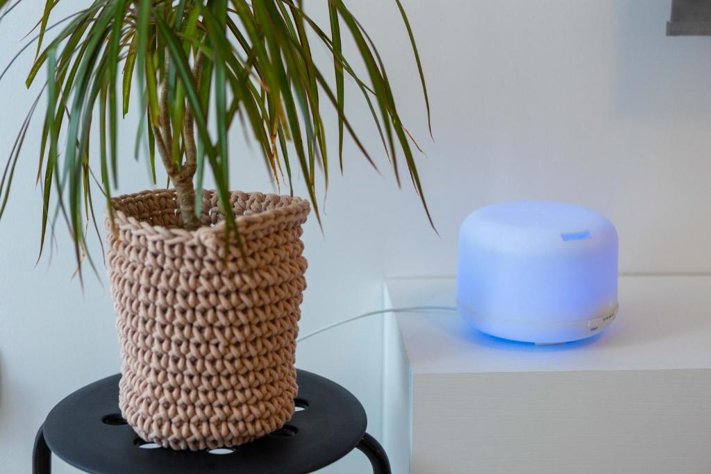a plant sitting on a table next to a candle at Miranda's Place in Split