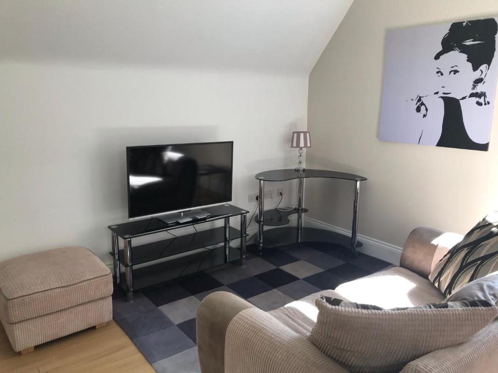 TV a/nebo společenská místnost v ubytování Glenlyon Flat - NEC