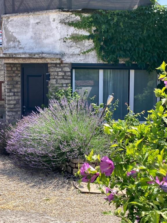 a garden with purple flowers in front of a house at L'Etape, logement climatisé ! in Beire-le-Châtel