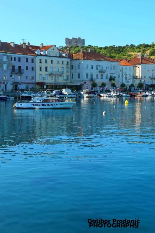 a boat is docked in a harbor with buildings at Dalibor in Senj