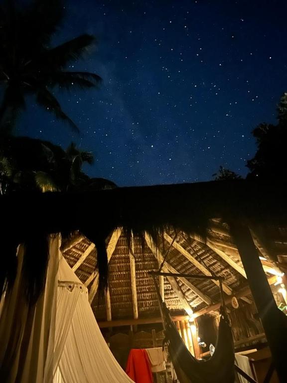 Fotografie z fotogalerie ubytování Jungle Lodge v destinaci Abraão