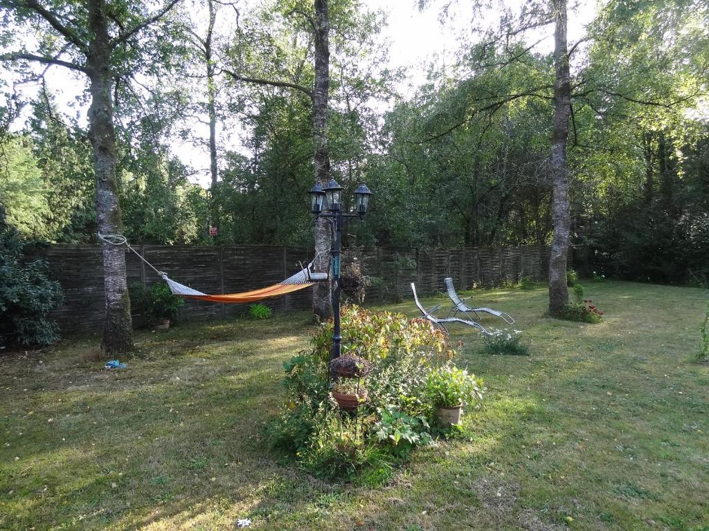 a garden with a hammock in a yard at Les Chambres de la Forêt in Juvigny-sous-Andaine