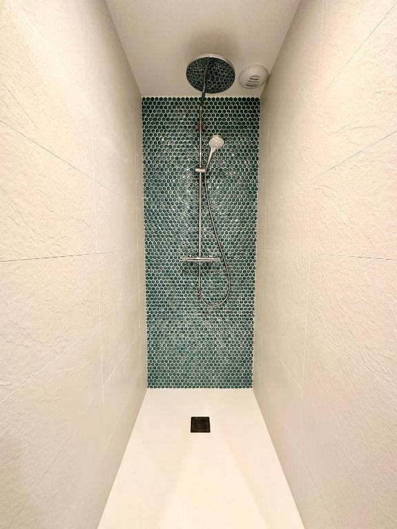 a shower in a bathroom with a green wall at LUXURY ! Maison spacieuse de standing – Proche des plages in Ploemeur