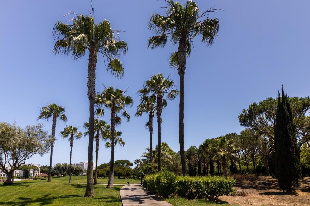 Een tuin van Domes Lake Algarve, Autograph Collection