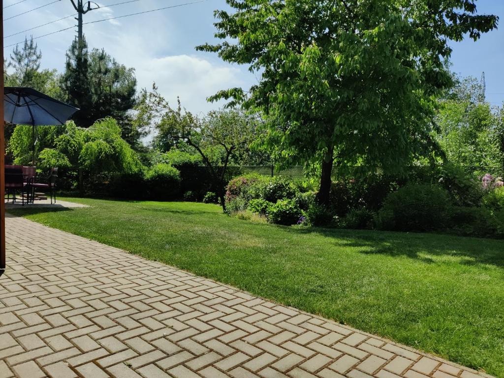 Zahrada ubytování Apartman pod lipou - samostatny objekt - carport