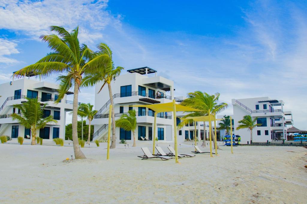 um edifício na praia com cadeiras e palmeiras em Blu Zen em Caye Caulker