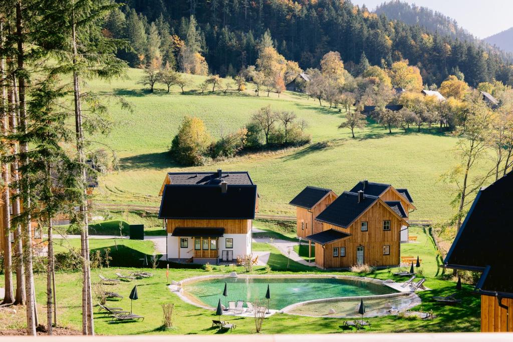 a house on a hill with a pool in the yard at Narzissendorf Zloam Apartments in Grundlsee