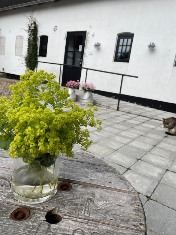 Fotografie z fotogalerie ubytování Berits Bed and Breakfast v destinaci Haderslev