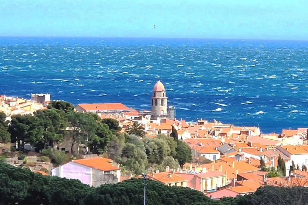 科利尤爾的住宿－T2 au calme-vue mer et baie de Collioure-Garage，海边小山上的一个小镇