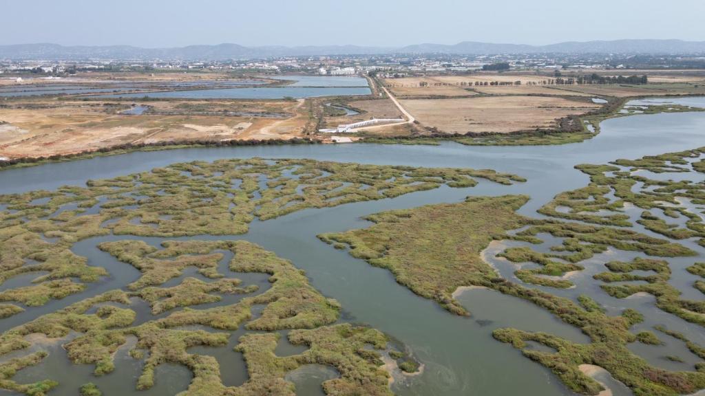 an aerial view of the amazon river delta at Herdade dos Salgados do Fialho in Faro