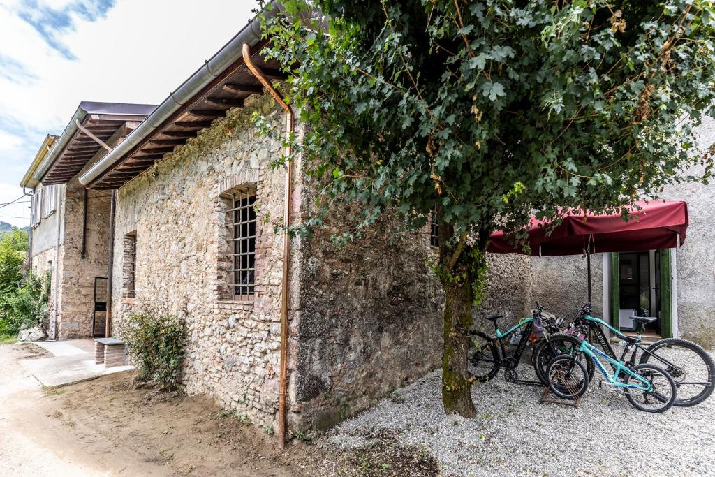 Jízda na kole v ubytování Frantoio Del Moscatello nebo okolí
