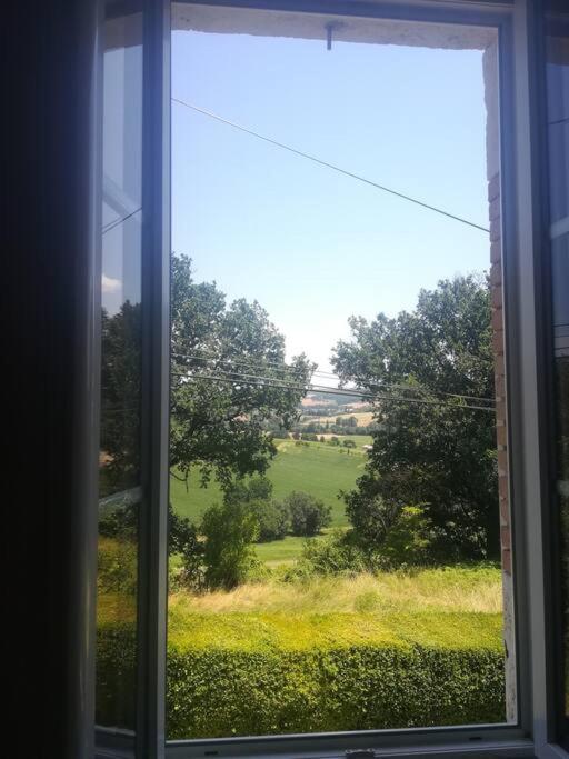 Zahrada ubytování Quercy blanc maison en pierre