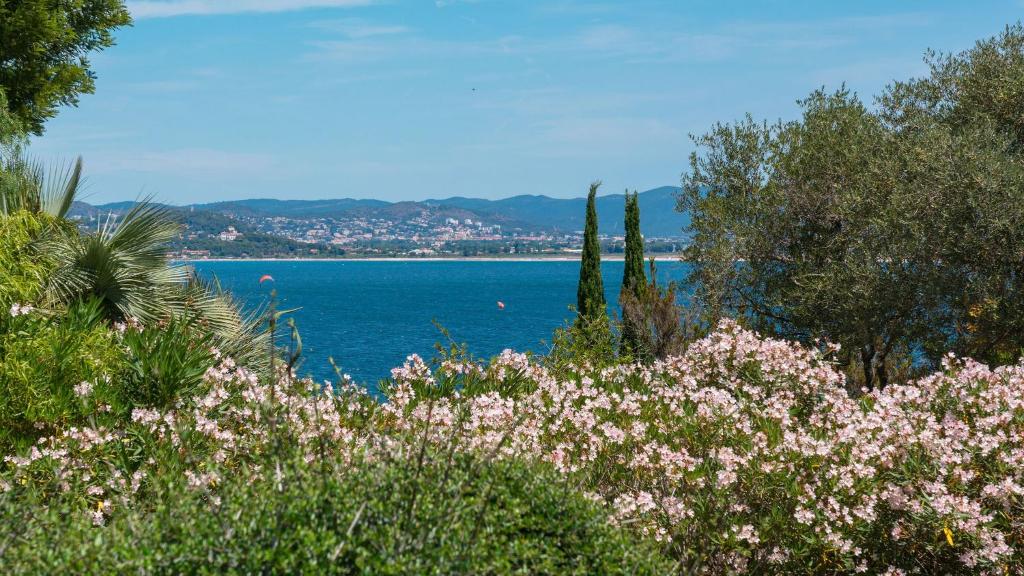 伊埃爾的住宿－Villa vue mer presqu'ile de giens avec piscine，享有水体和粉红色花卉的景色