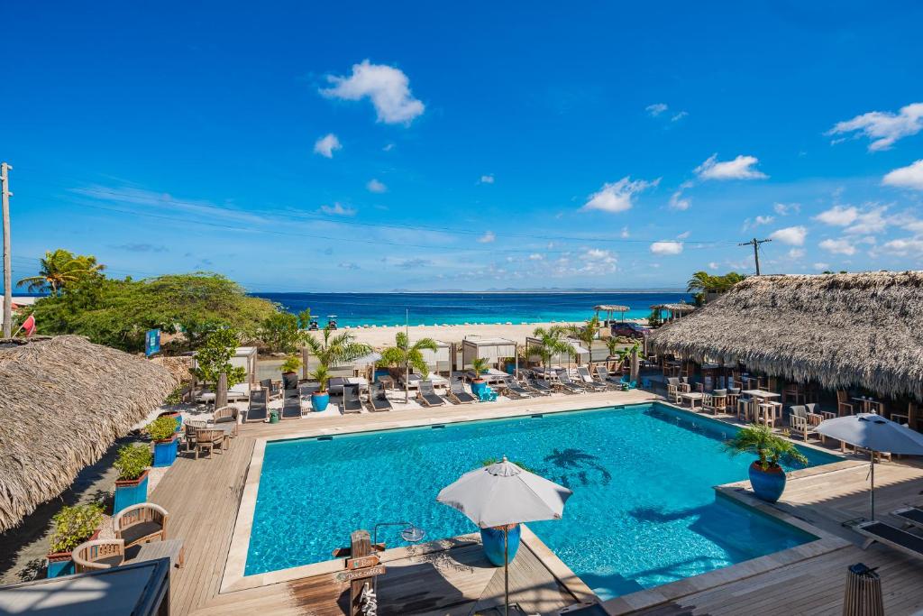 een uitzicht over het zwembad en het strand bij Bloozz resort Bonaire in Kralendijk