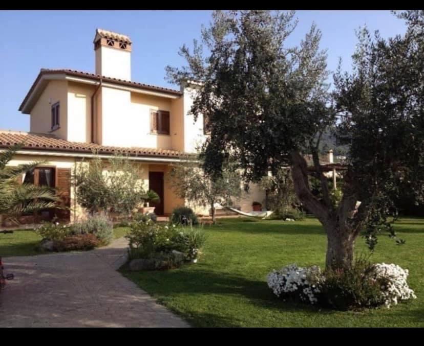 a large house with a tree in the yard at La casa al Lago in Trevignano Romano