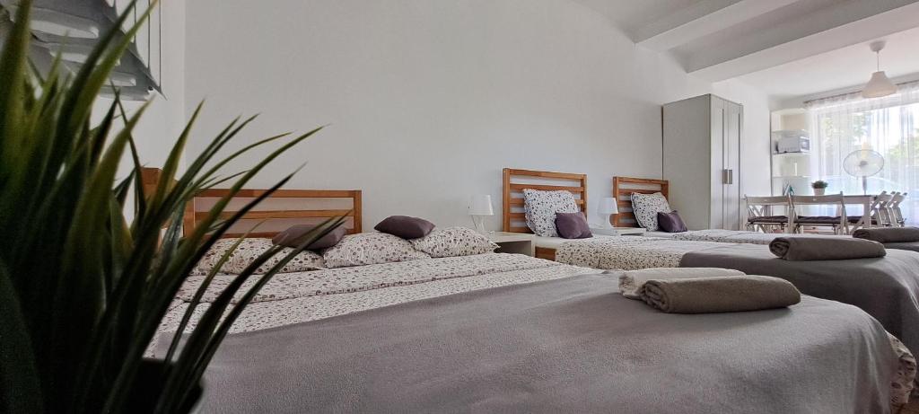 Posteľ alebo postele v izbe v ubytovaní Apartament Na Szkolnej