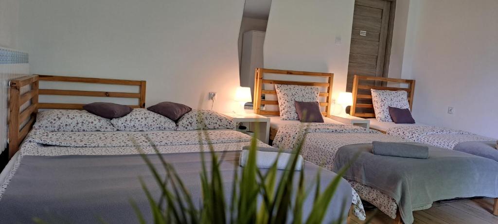 Posteľ alebo postele v izbe v ubytovaní Apartament Na Szkolnej