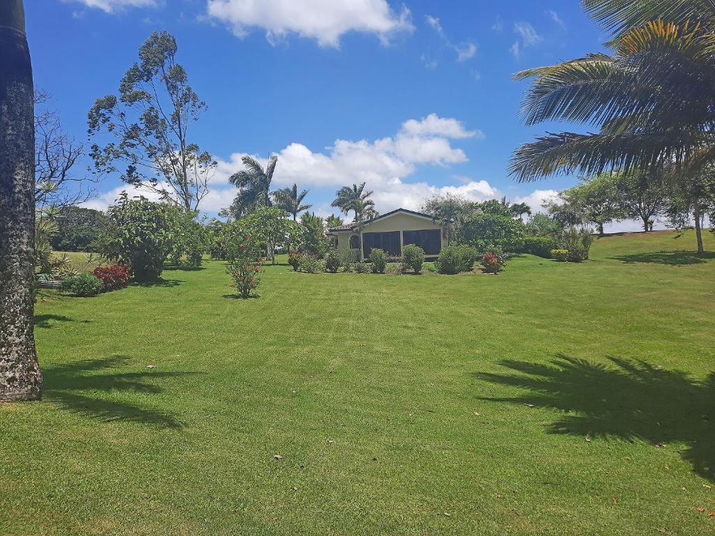 Zahrada ubytování TOP RATED - Lake View Arenal Suite - 2025 Traveller Awards Winner