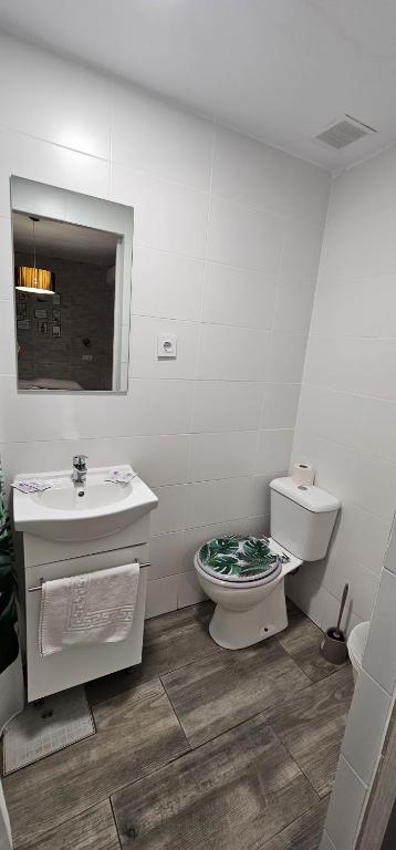 Koupelna v ubytování Hostal La Cabaña