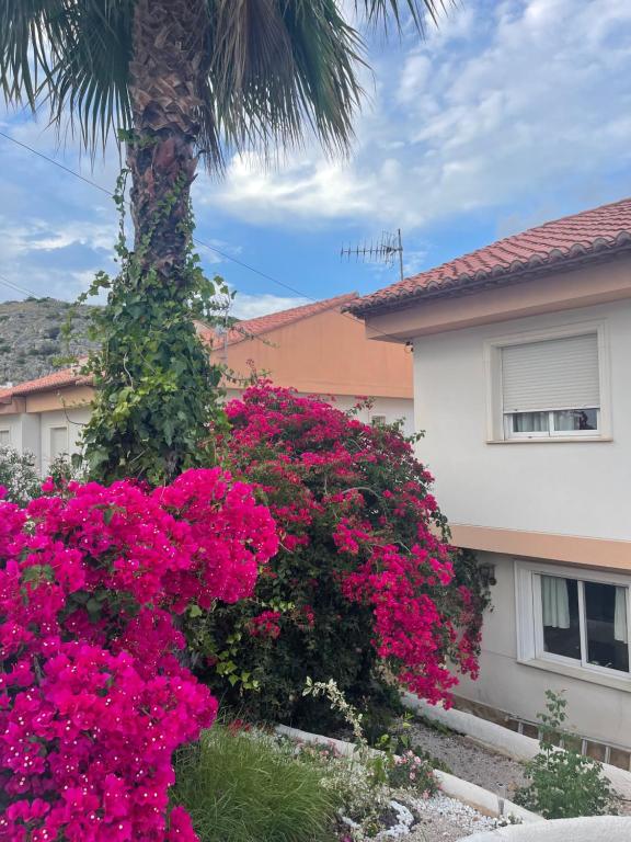 Zahrada ubytování Loft Montepino