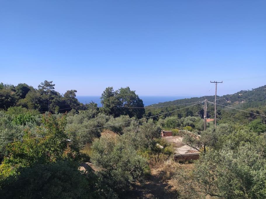 a view of a hill with bushes and trees at Sergi Home in Raches