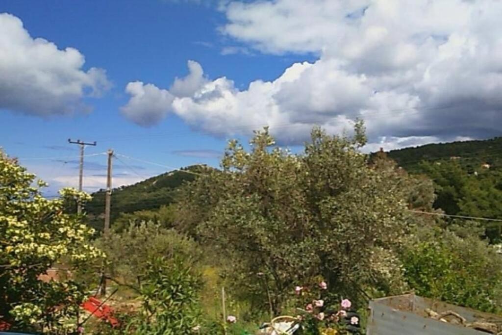 a view of a field with trees and a mountain at Sergi Home in Raches