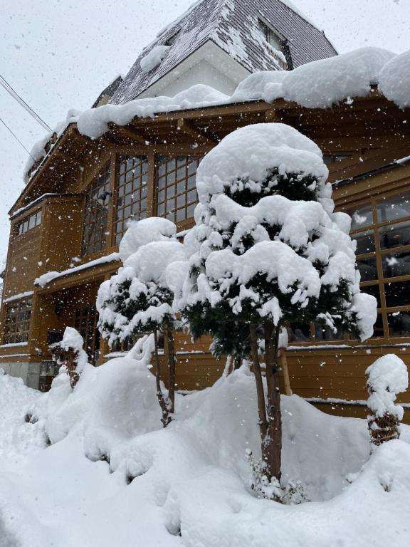 un arbre recouvert de neige devant un bâtiment dans l'établissement Kihachikan North Nozawa Onsen, à Nozawa Onsen