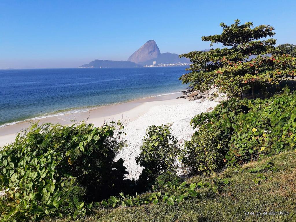 a view of a beach with a tree and the ocean at Emoções na quadra da praia in Rio de Janeiro