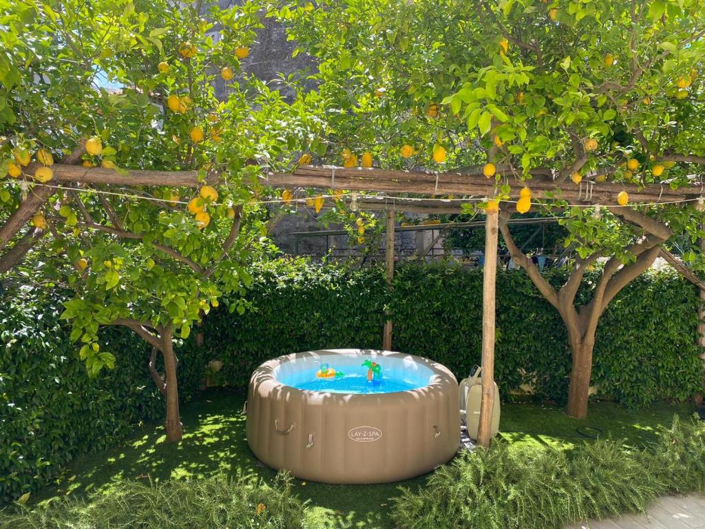un bain à remous dans un jardin sous un oranger dans l'établissement MARILISE - La maison bleue private hot tube, garden & terrace, à Meta