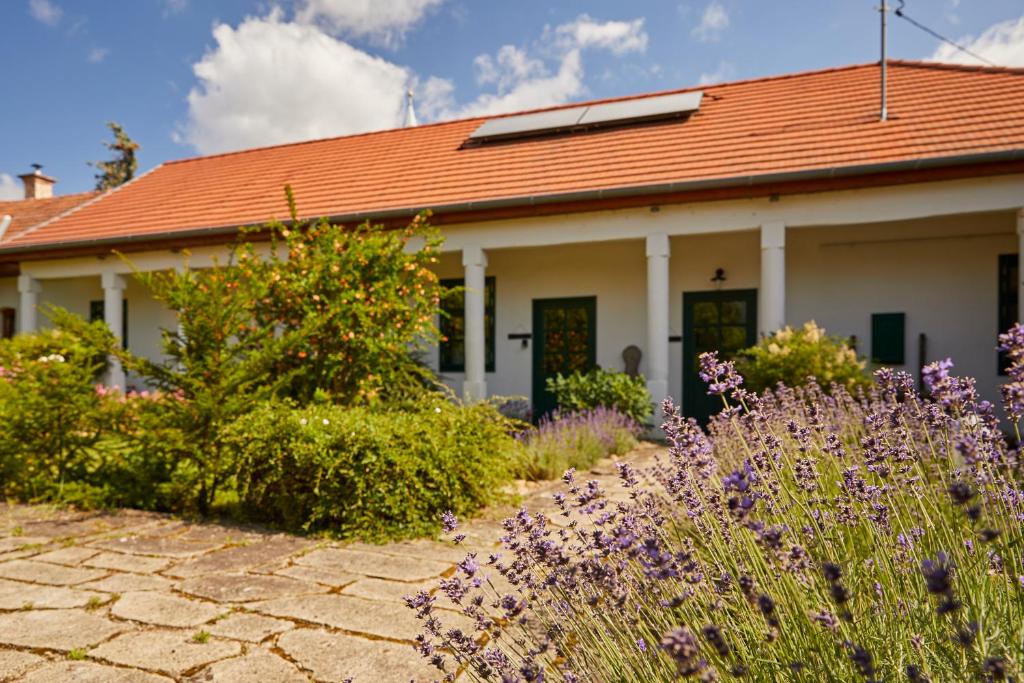 マードにあるBarta Pince Vendégház Mádのオレンジ色の屋根と紫色の花々が咲く家