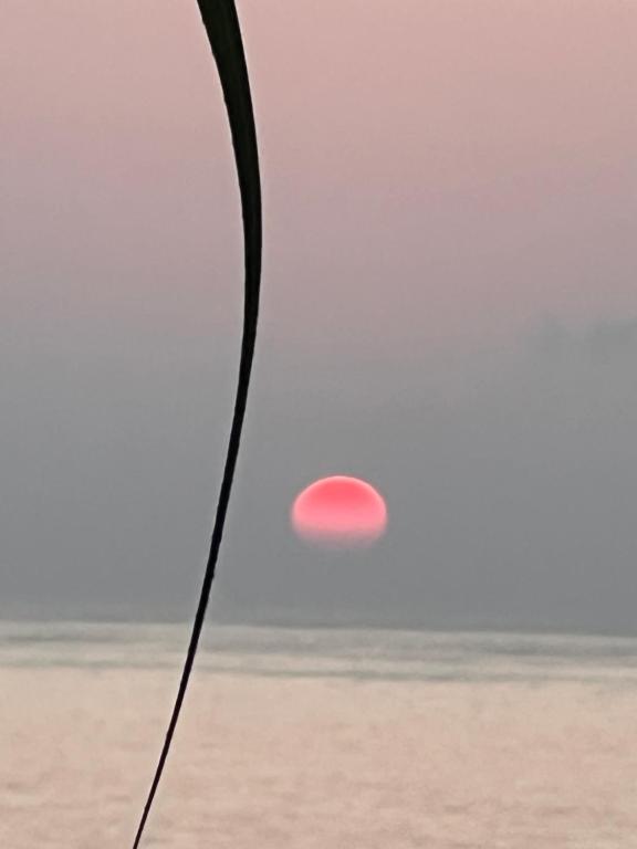 Sunflower apartment, Vlorë (updated prices 2024)