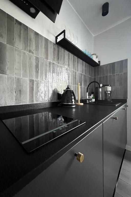 Kuchyň nebo kuchyňský kout v ubytování VISLA Apartments 2