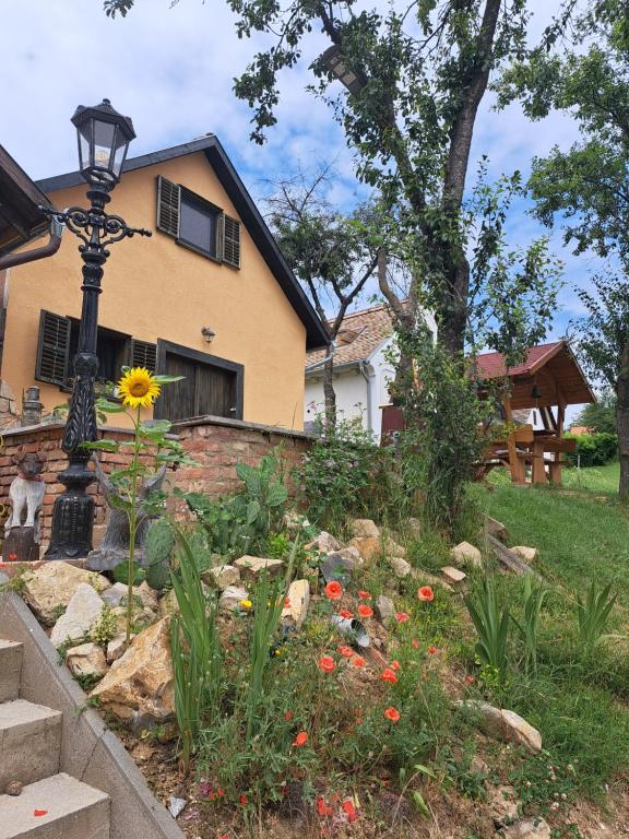 un jardín frente a una casa con luz de la calle en Macskajaj vendégház, en Mecseknádasd