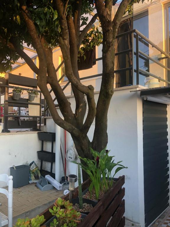 Cantinho da Susana - 13