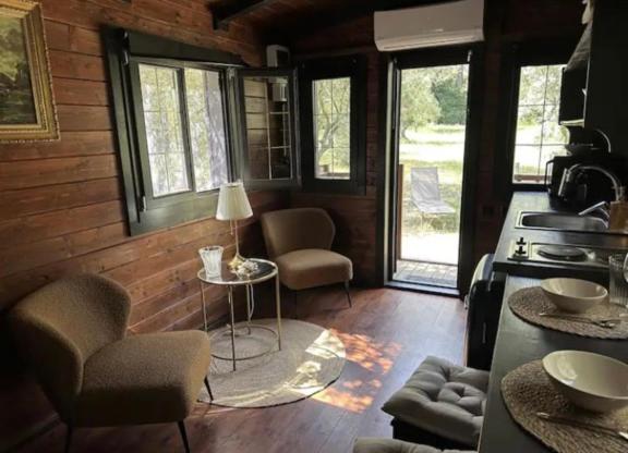 a living room with a kitchen and a stove at Roulotte / Tiny House dans les Alpilles in Saint-Rémy-de-Provence