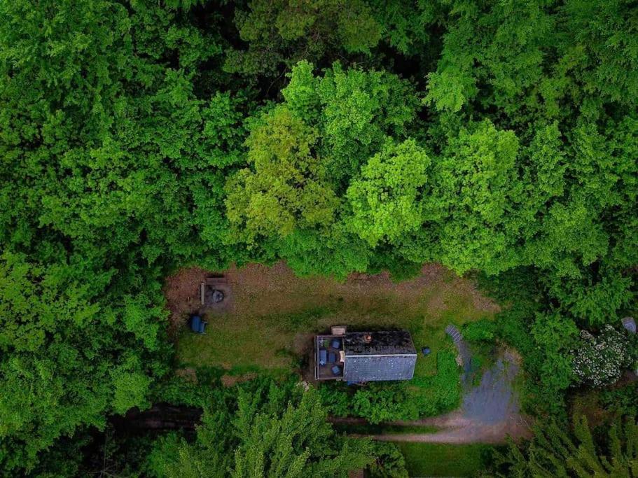 an overhead view of a house in the middle of a forest at Chata pod pindulou in Rožnov pod Radhoštěm