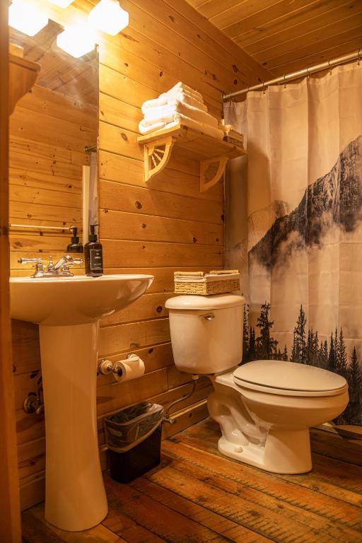 a bathroom with a toilet and a sink at High Creek Lodge and Cabins in Pagosa Springs