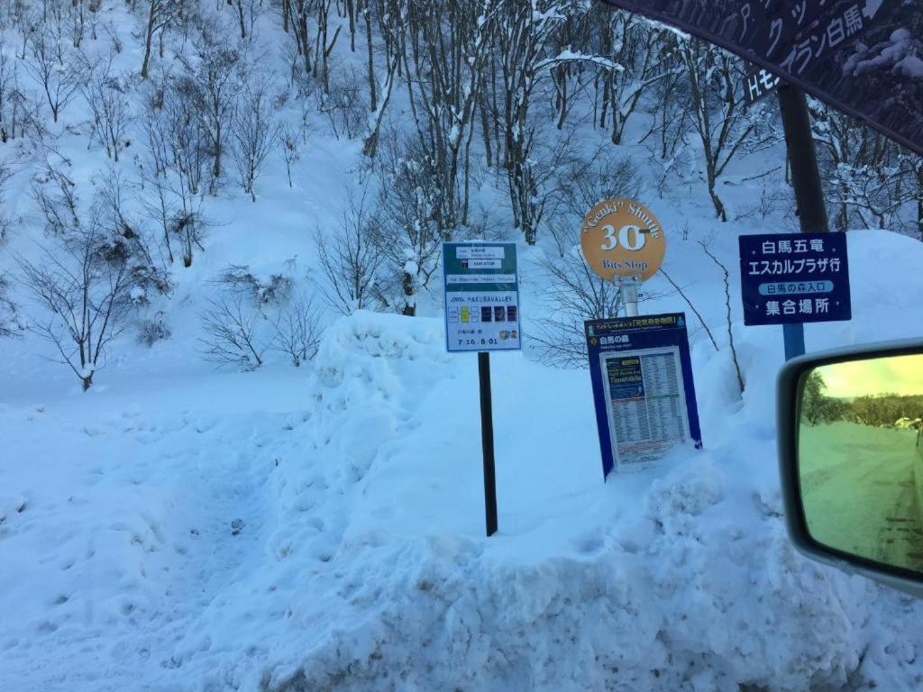 Hakuba Park Hotel v zimě