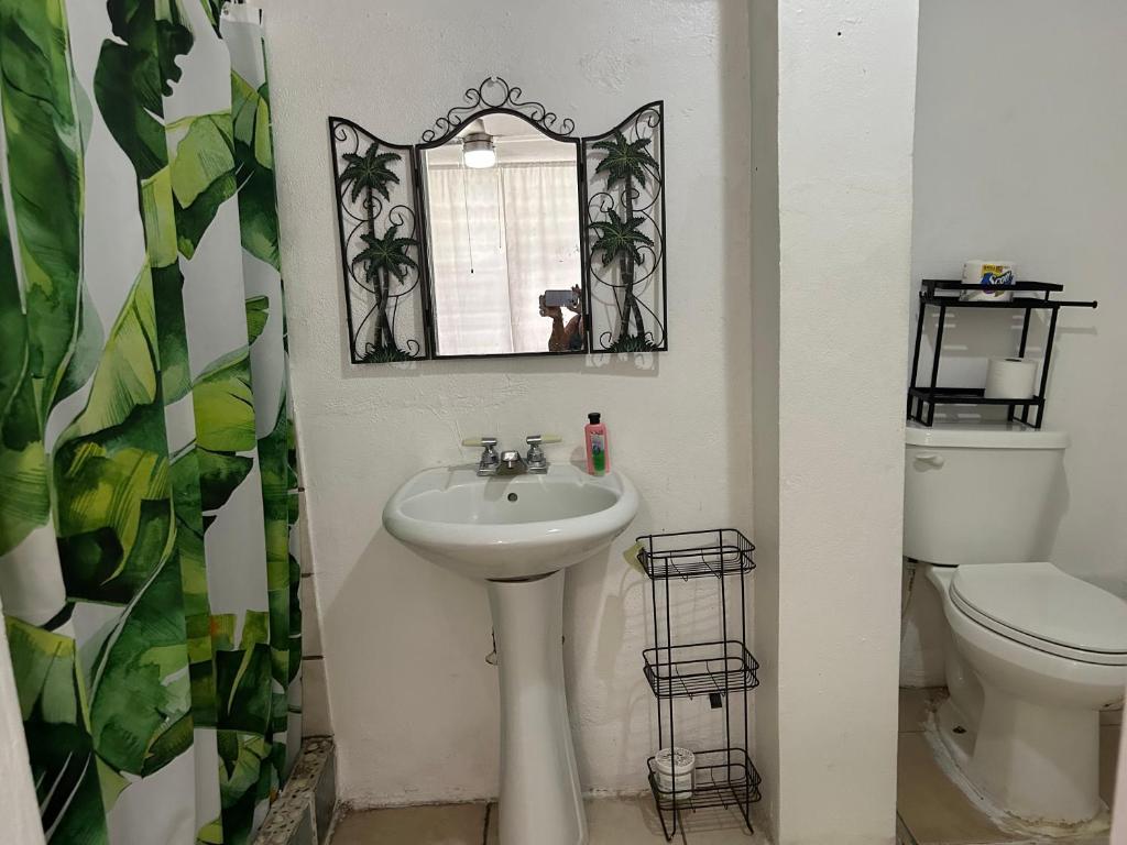 Koupelna v ubytování Vieques Good Vibe Guest House