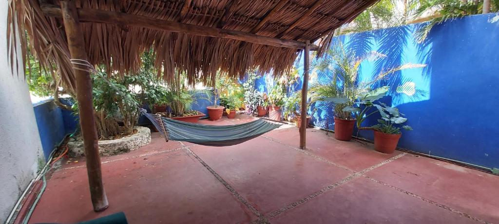 Exclusive Villa Pichi - Casa Con Due Camere Da Letto