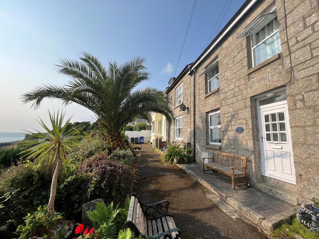 een gebouw met twee banken en een palmboom ervoor bij Lookout Cottage in Penzance
