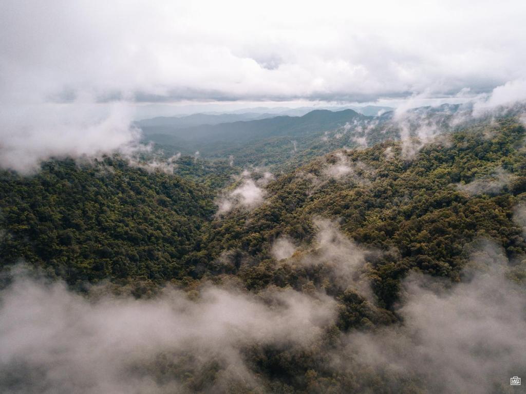 Lannawild - Resim 16