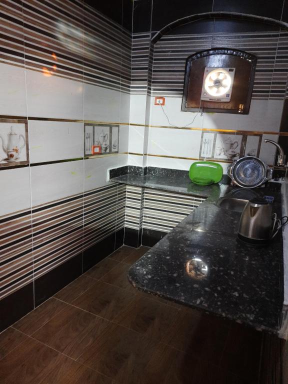 Kuchyň nebo kuchyňský kout v ubytování Malika nubian house