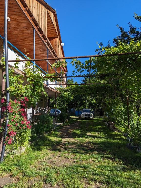 Jardí fora de Sofia