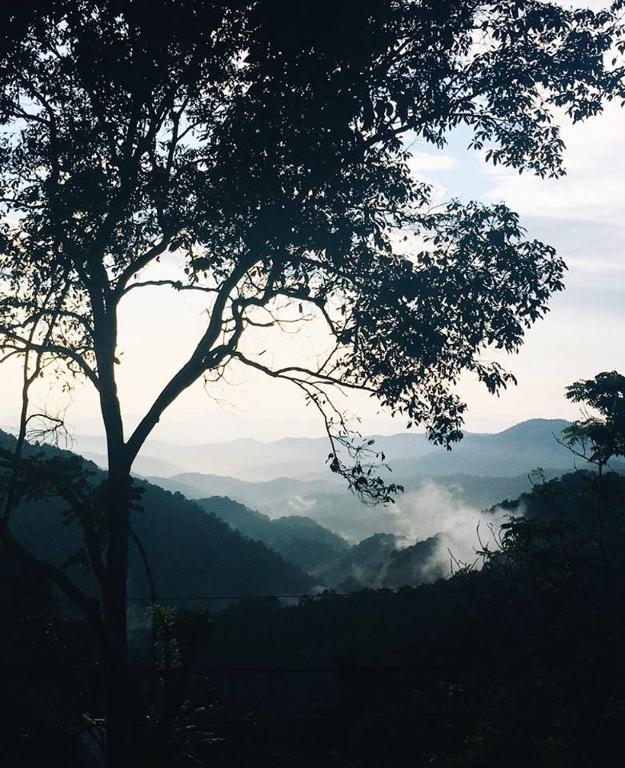 Lannawild - Resim 17