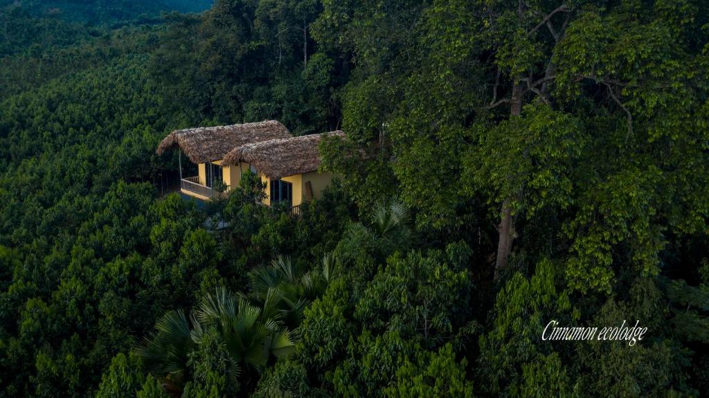 an aerial view of a house in the middle of a forest at Cinnamon Eco Lodge in Nậm Hoắc