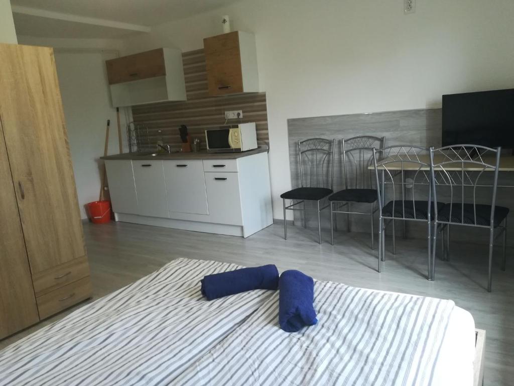 Kuchyňa alebo kuchynka v ubytovaní Kossuth téri - második emeleti - Nopara STUDIO apartman